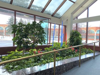Indoor garden with various green plants and red flowers under a slanted glass roof and large windows, with a metal railing.