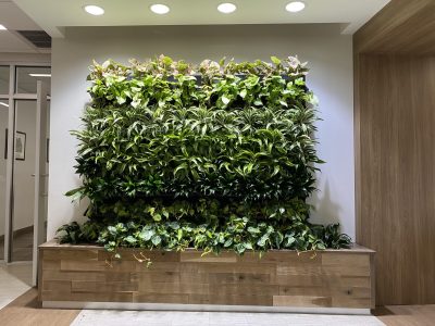 A vertical indoor garden with three tiers of green plants mounted on a wall, under ceiling spotlights.